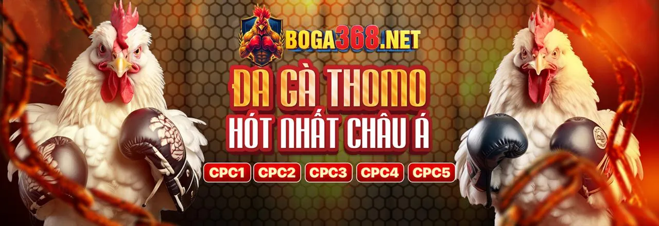 Đá Gà 88cld Đăng Nhập - Sân Chơi Cá Cược Trực Tuyến Đỉnh Cao