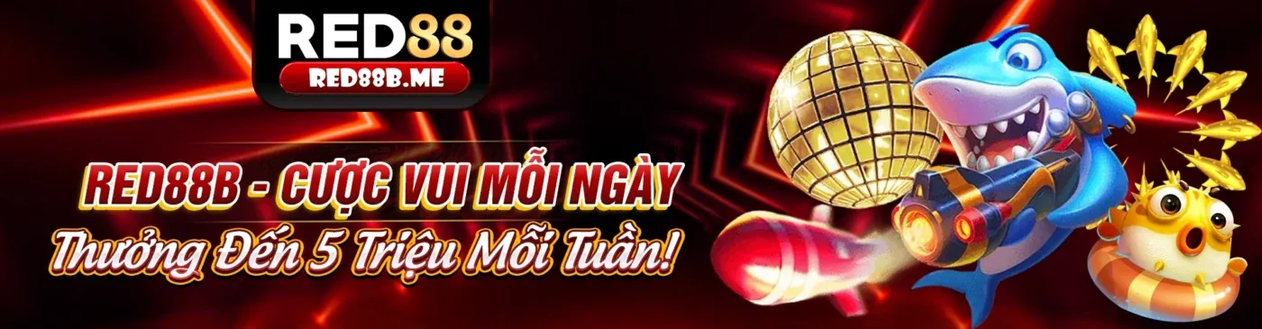Hỗ trợ khách hàng 24/7 của 88cld